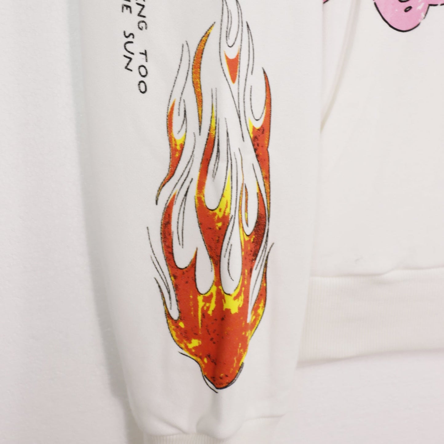 Sweat à capuche Hellstar Sport