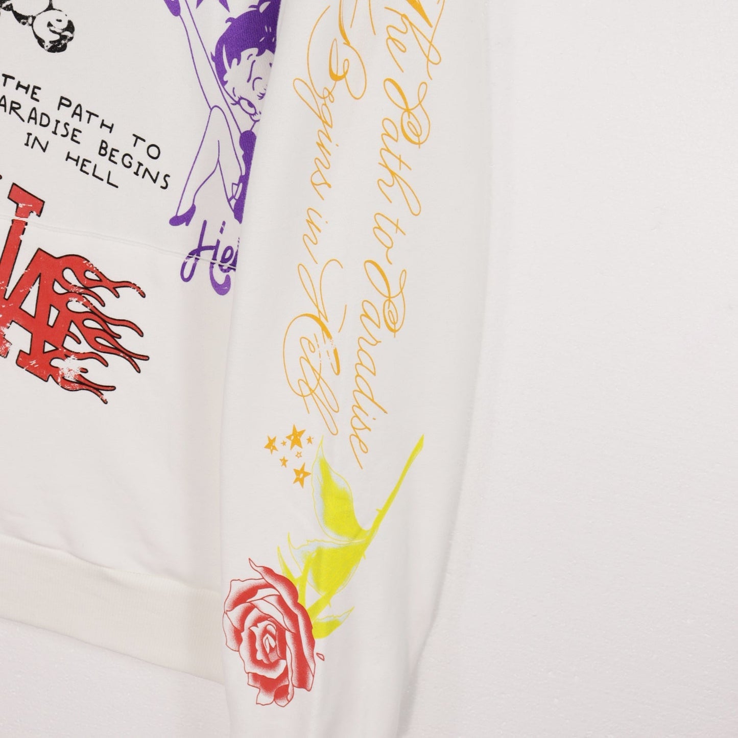 Sweat à capuche Hellstar Sport